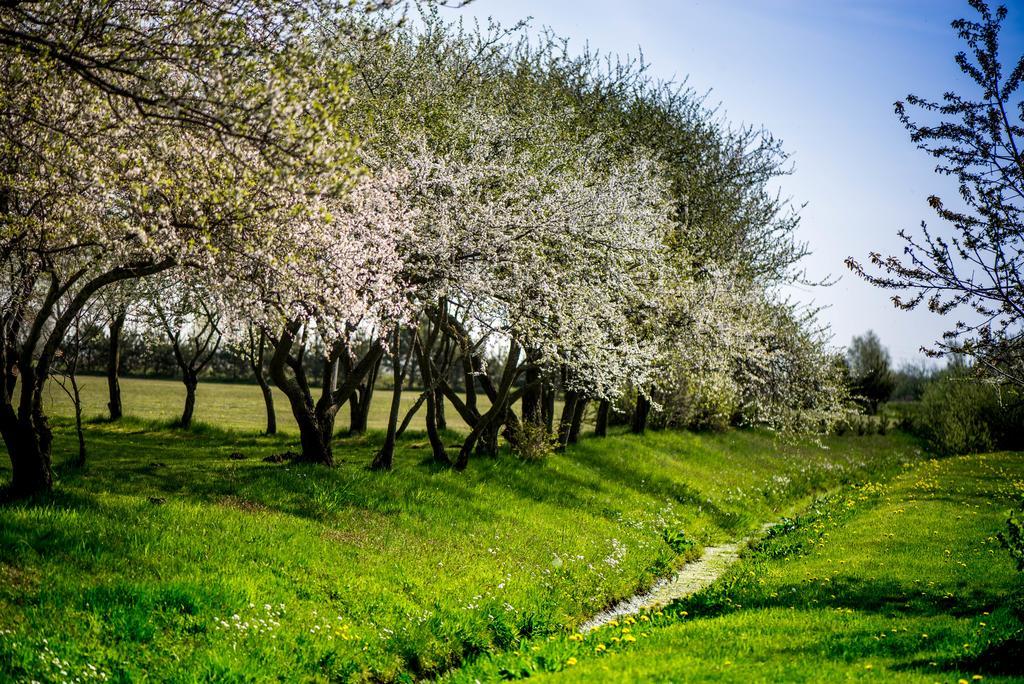 Ergli 호텔 Bernāti 외부 사진